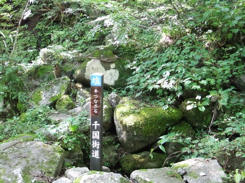 a0215163_20381310.jpg