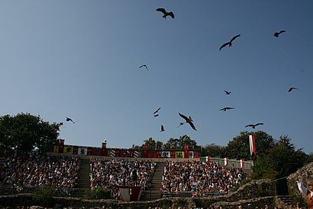 f0150665_454661.jpg