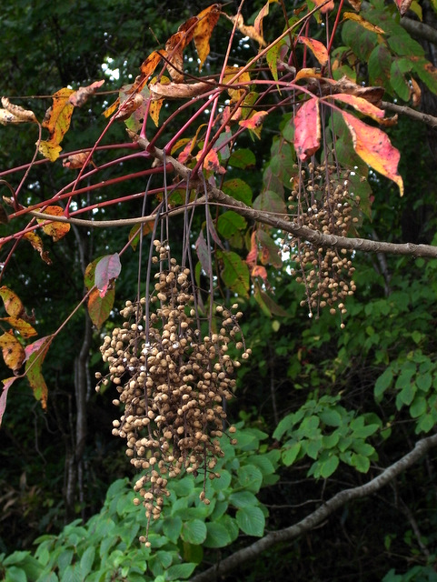b0130166_19592979.jpg
