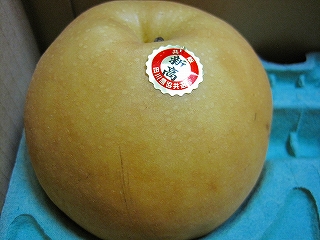 e0002466_20115251.jpg