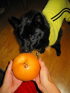 e0002466_2012137.jpg