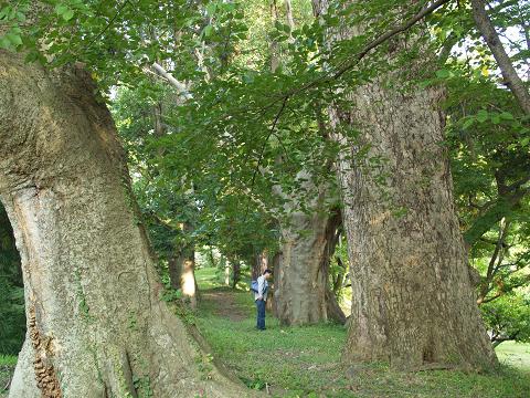e0078071_23103227.jpg