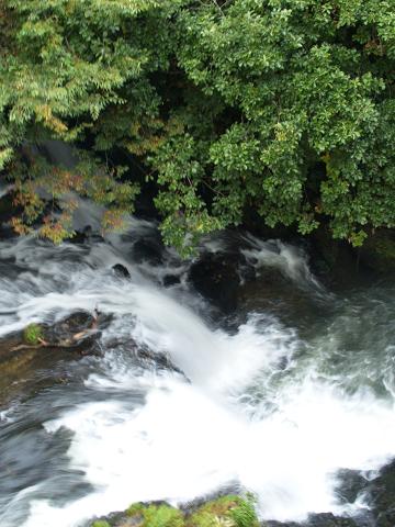e0078071_23224778.jpg