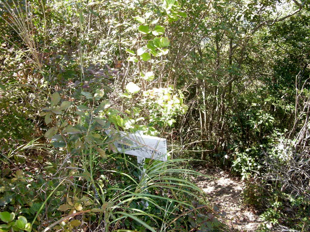 b0185573_17194832.jpg
