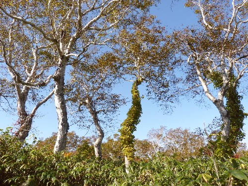 d0084473_20442634.jpg