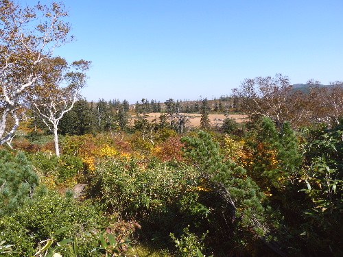 d0084473_20444232.jpg