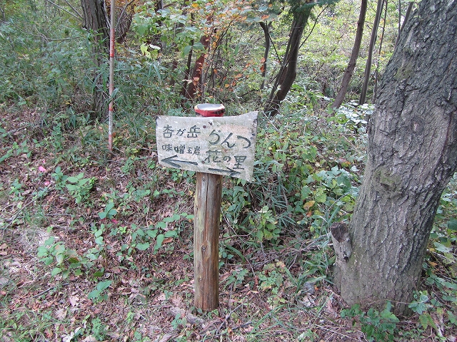 a0191674_11194419.jpg