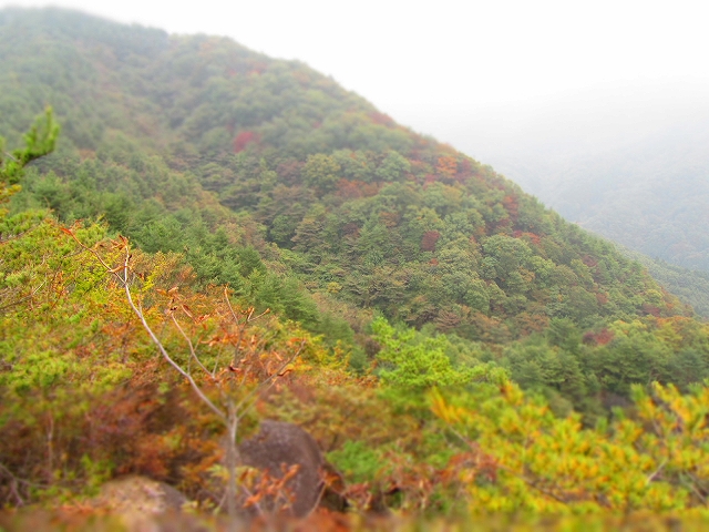 a0191674_11314381.jpg