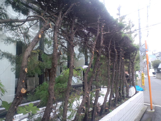 a0118079_15121666.jpg