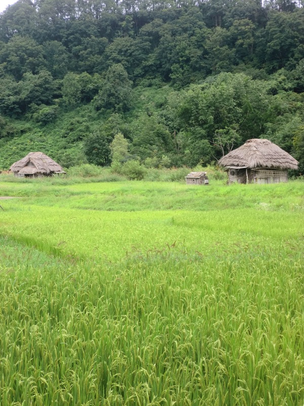 f0238779_719286.jpg