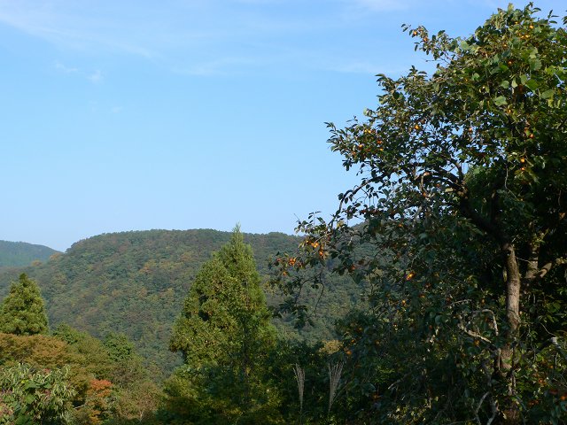 b0042882_13281298.jpg
