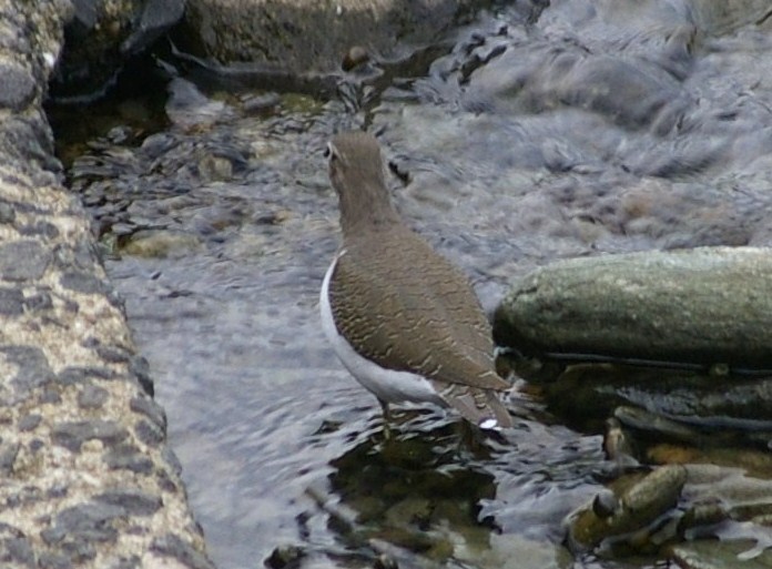 e0197884_23133340.jpg