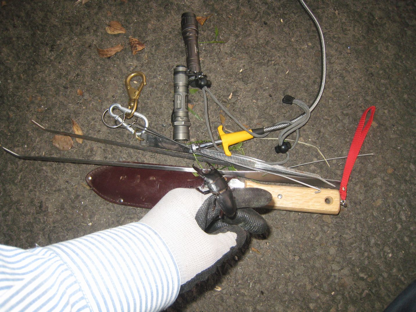 f0183484_21385273.jpg