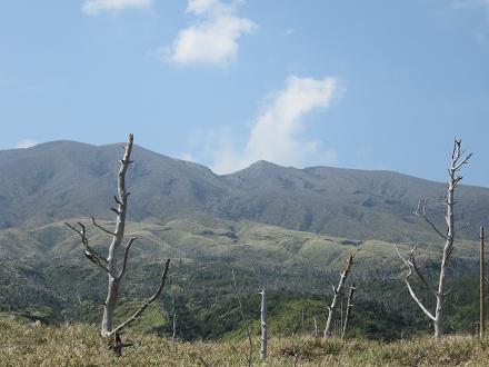 c0204385_22303857.jpg