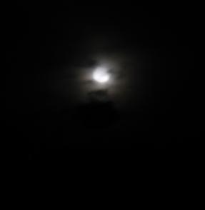 e0130185_20345369.jpg