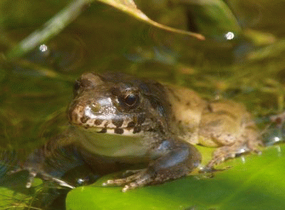 b0108186_23101931.gif