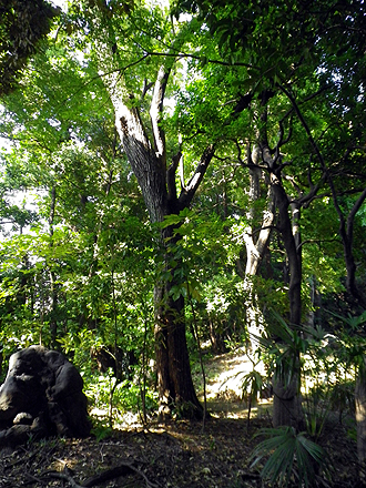 e0066586_7124960.jpg