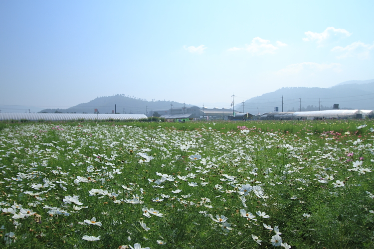 e0051888_214449.jpg