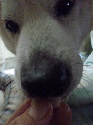 c0123890_15513150.jpg