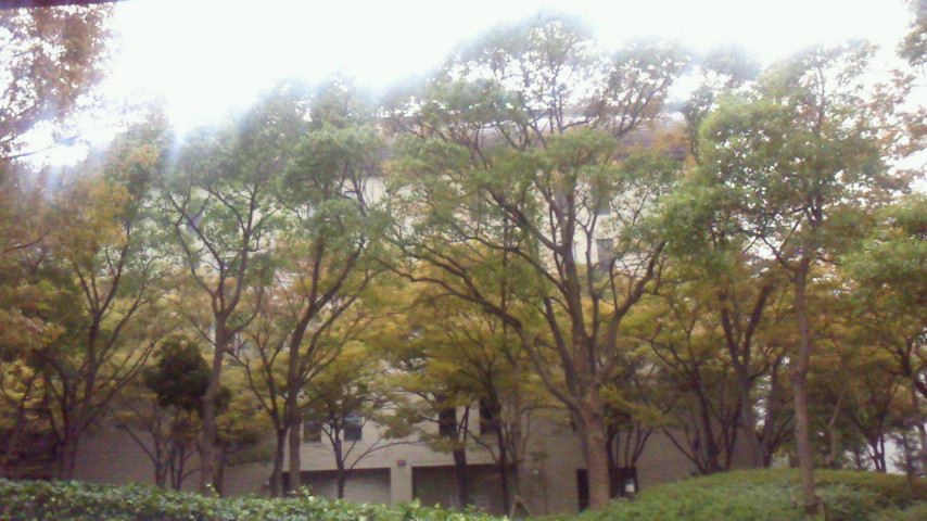 e0240190_1710292.jpg