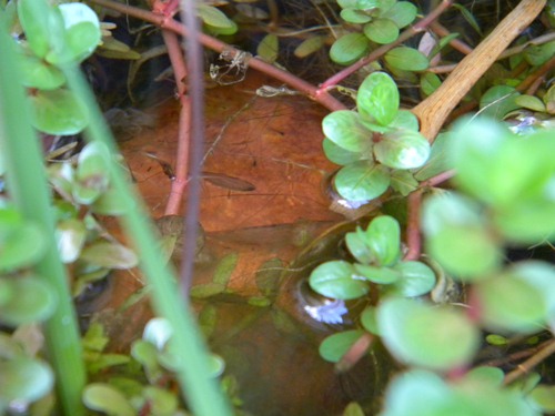f0138093_640191.jpg