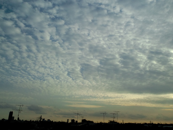d0135694_1402456.jpg