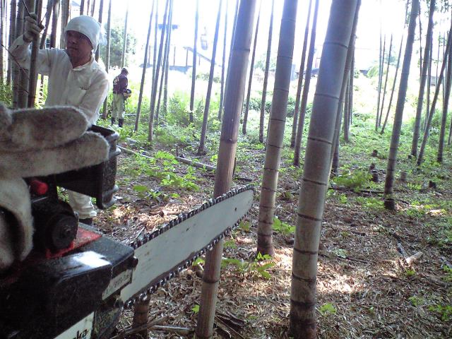 a0121502_4502518.jpg