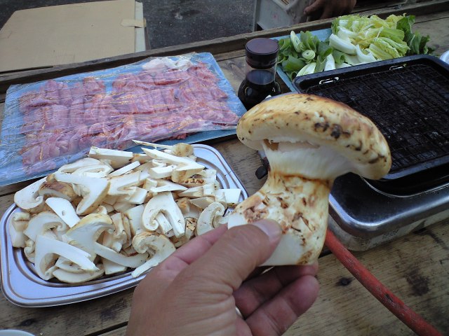 a0121502_4502559.jpg