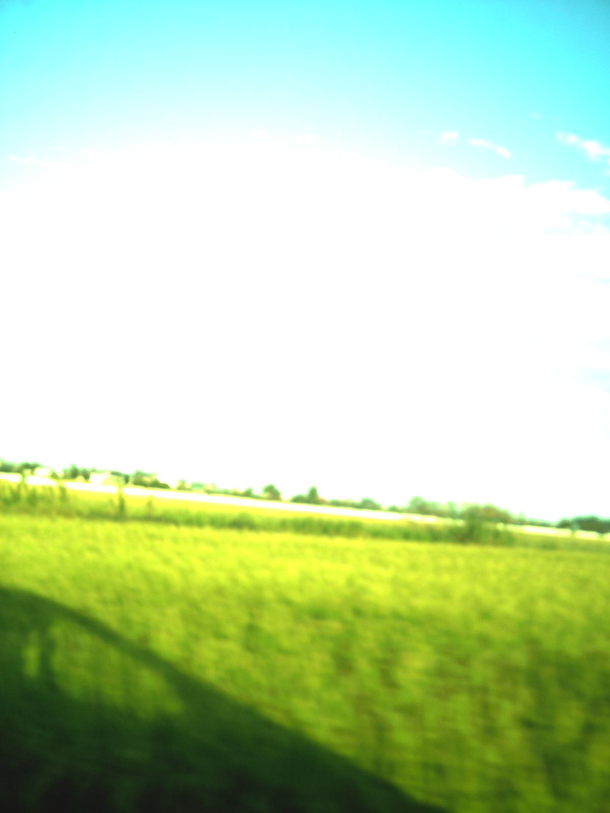 a0238703_8543713.jpg