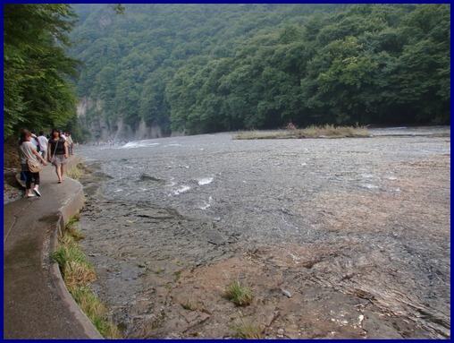 c0110906_17591861.jpg