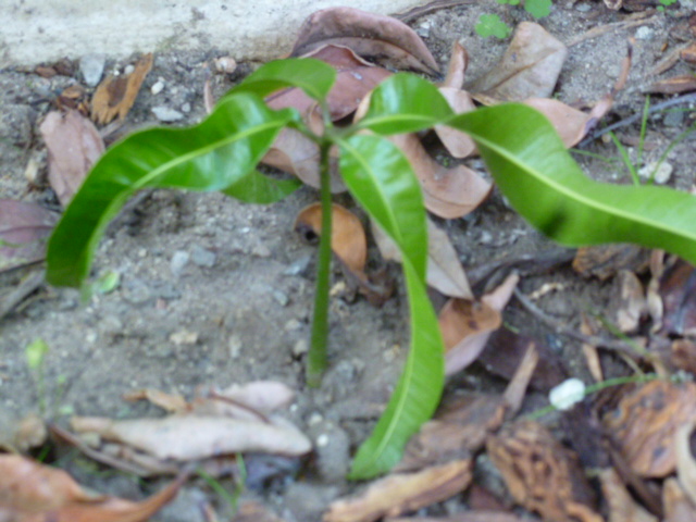 a0144811_4234349.jpg