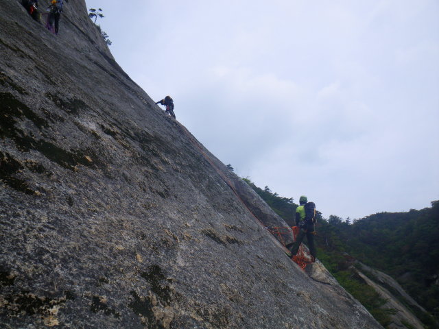 d0006512_22143551.jpg