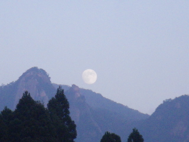 d0006512_22224036.jpg