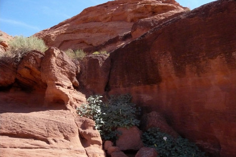 f0046614_1014254.jpg