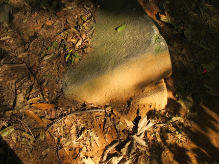 a0101715_12273320.jpg