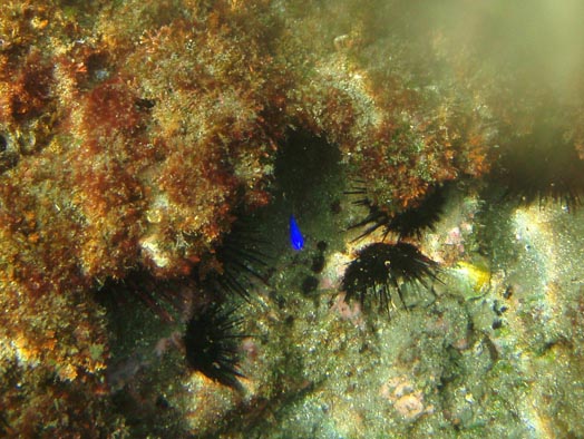 b0117718_17364843.jpg