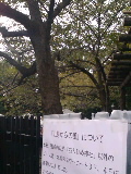 e0112619_23223377.jpg
