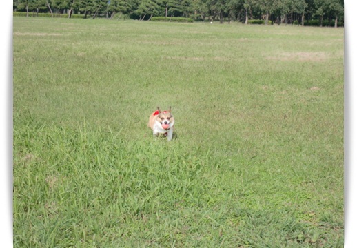 f0182121_14401894.jpg