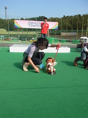 f0214121_102193.jpg