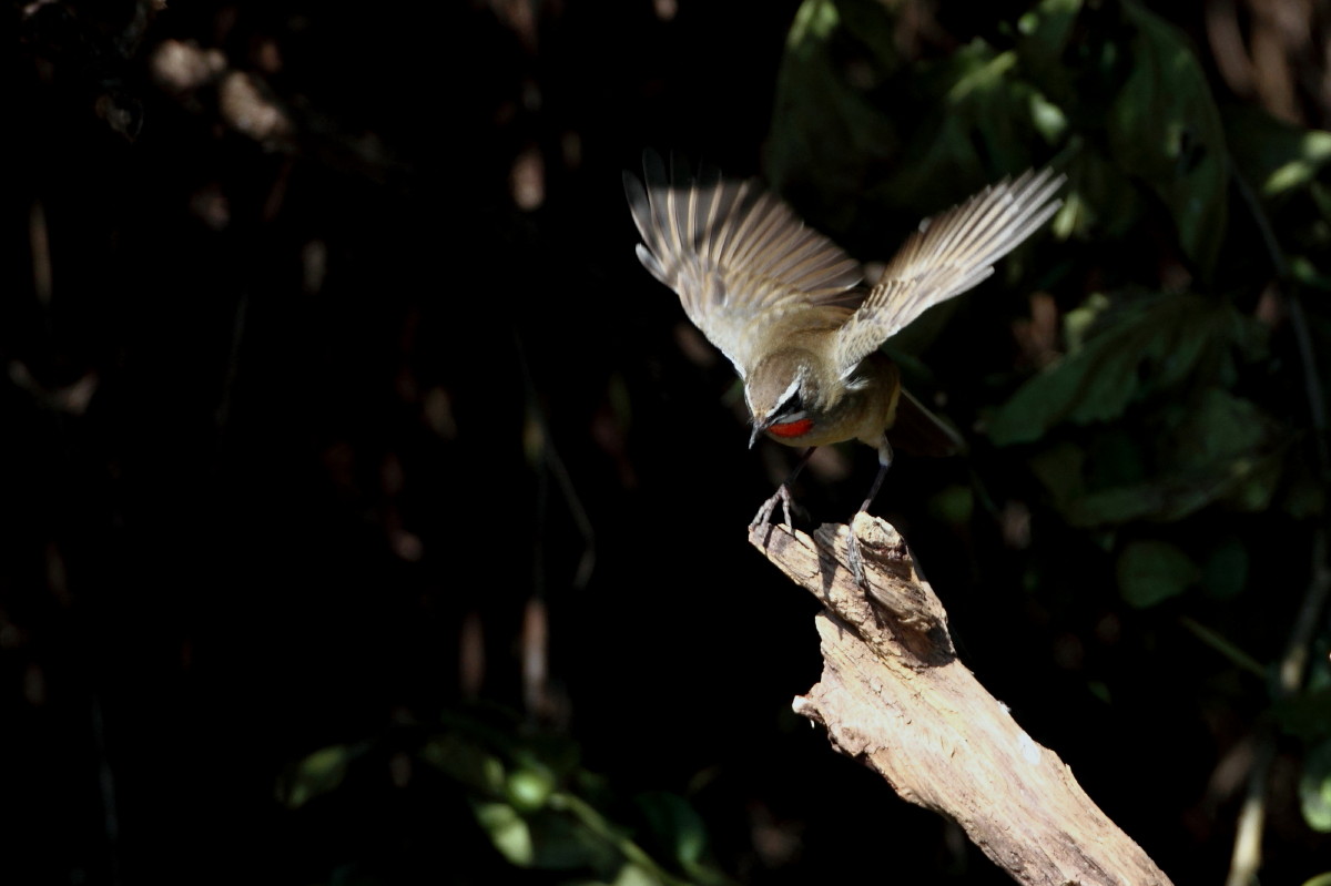 c0148230_1837940.jpg