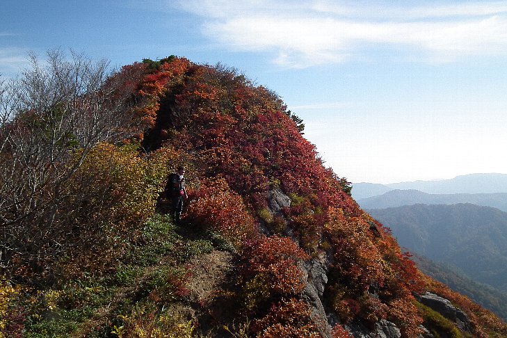 f0118332_2291442.jpg