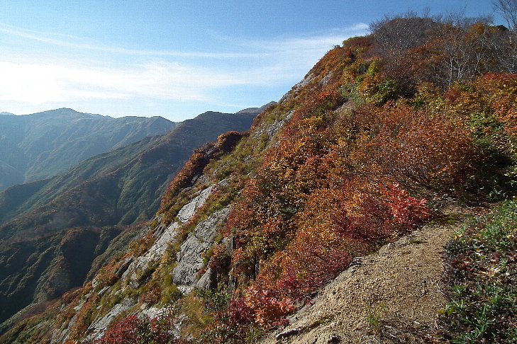 f0118332_22951.jpg