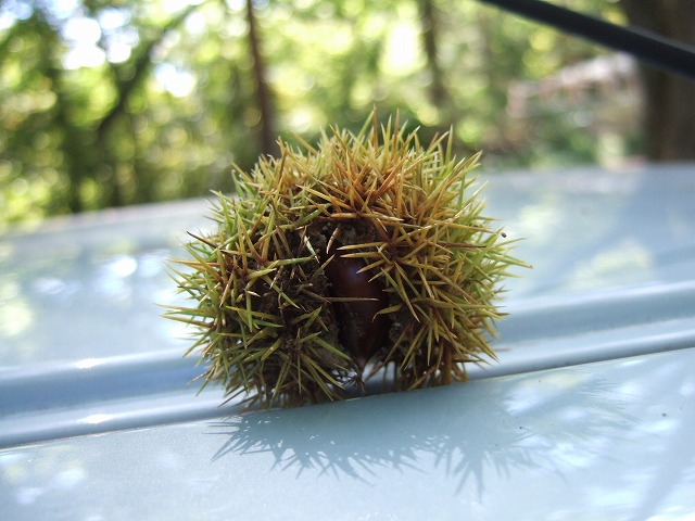 c0208836_14531673.jpg