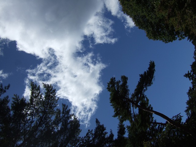 c0208836_1453244.jpg