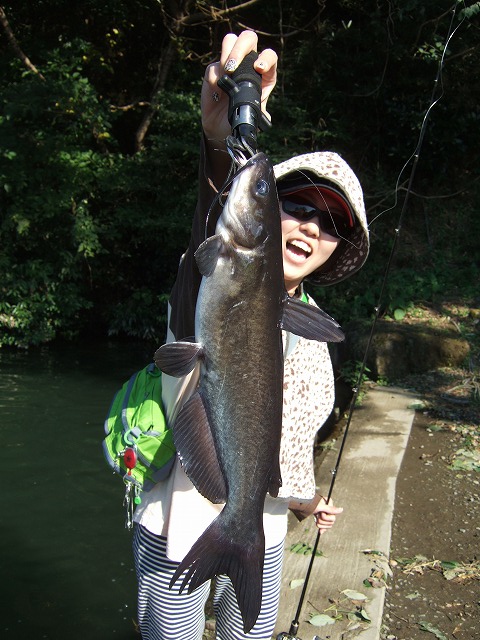 c0208836_1520093.jpg