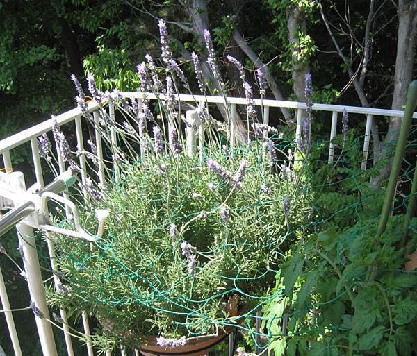 e0222147_13502812.jpg