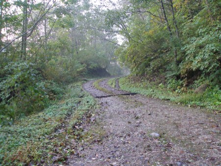 c0037553_10571390.jpg