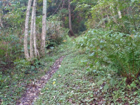 c0037553_112831.jpg