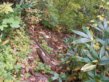 c0037553_11736.jpg