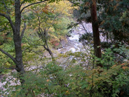 c0037553_118448.jpg